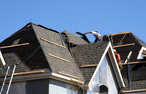 Best Roof Gutter Cleaning  in New Lenox, IL